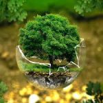 Transizione ecologica, incontro al Gran Caffè Schenardi