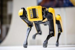 In Ucraina arriva Spot, cane robot Usa che neutralizza mine inesplose