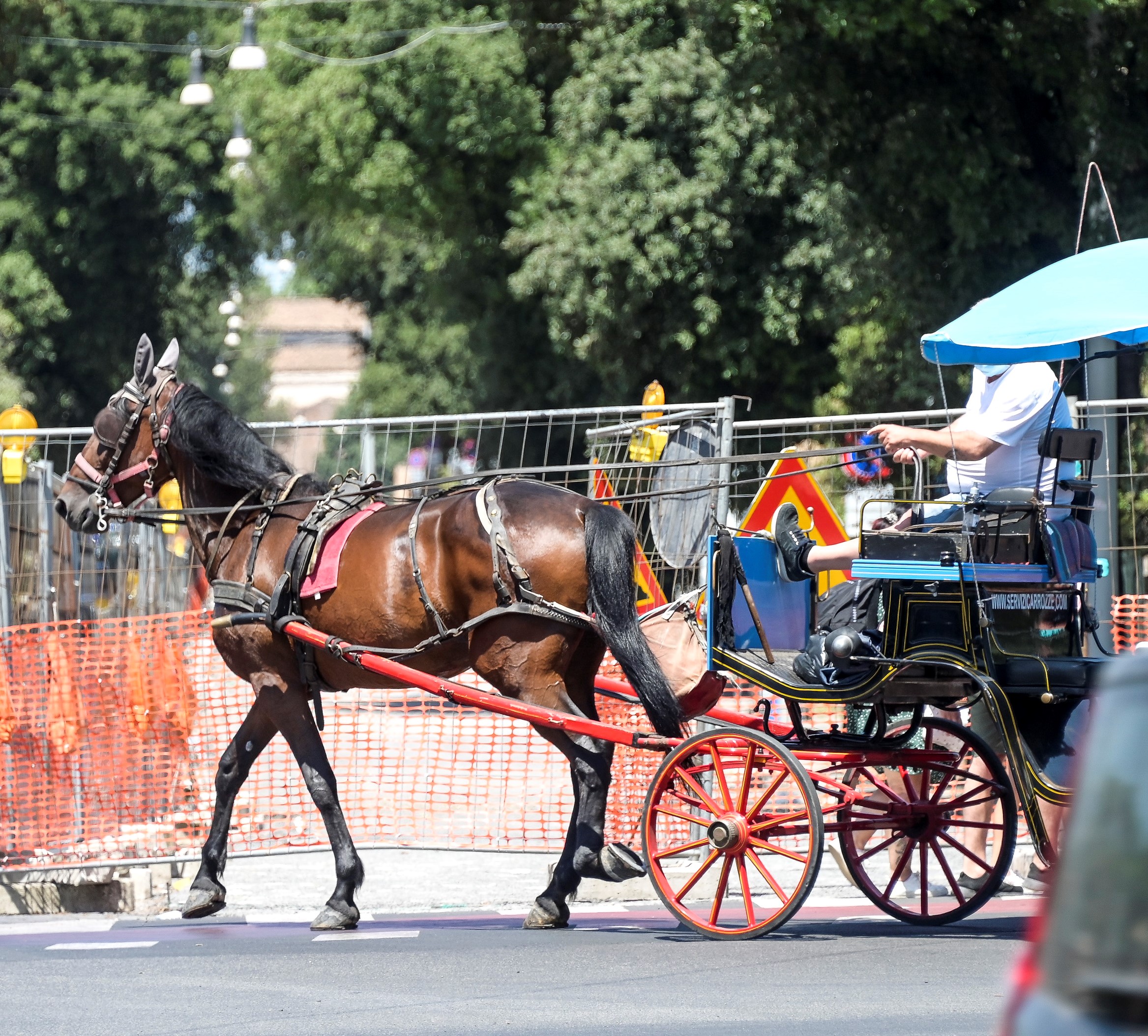 Ubriaco colpisce cavallo che si imbizzarrisce: travolta auto dei Carabinieri e un 38enne finisce all’ospedale con la spalla fratturata