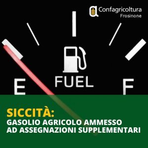Confragricoltura Frosinone: via libera all’incremento del 50% di gasolio agricolo da parte della Regione
