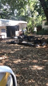 Ladispoli, incendio nel bosco di Palo Laziale: panico nel camping