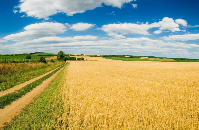 Coldiretti Lazio, Governo emani decreto flussi migranti 2023