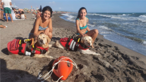 Montalto Marina – Cani bagnino salvano tre donne