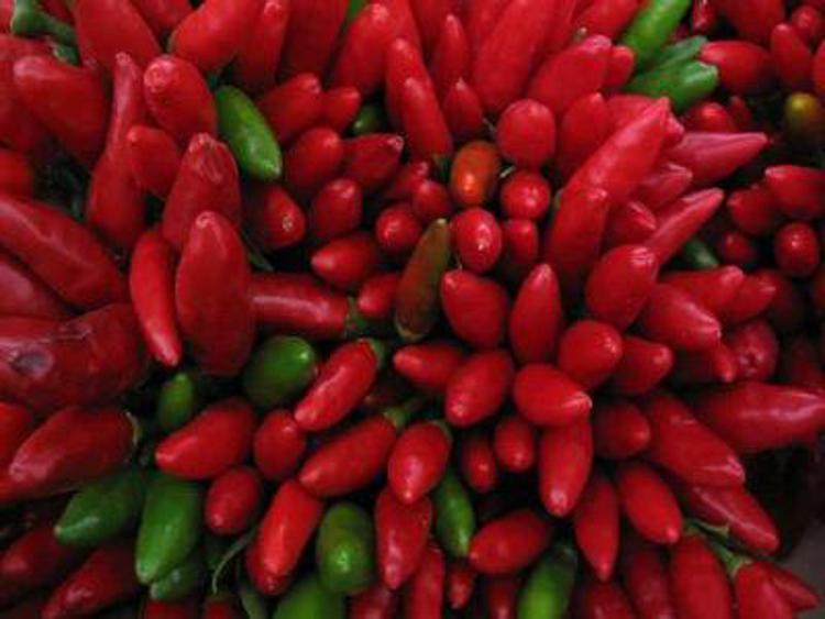 Rieti, peperoncino da record: domenica si è conclusa l’edizione della Fiera campionaria più partecipata di sempre