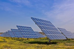 La disperazione degli agricoltori della Tuscia: “Pannelli fotovoltaici ed eolico stanno invadendo i “nostri” campi”