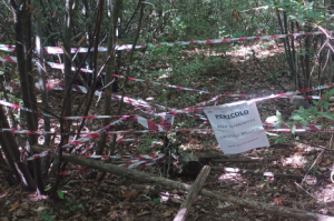 Esce in cerca di funghi e trova un ordigno bellico della Seconda Guerra Mondiale