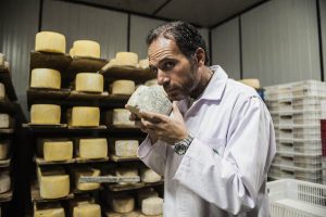 Viterbo, prezzo del latte alle stelle. Allarme della Cna: “I caseifici rischiano di chiudere”