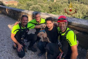 Roma, cagnolino resta impigliato nella boscaglia di Villa Borghese: salvato dai Vigili del fuoco