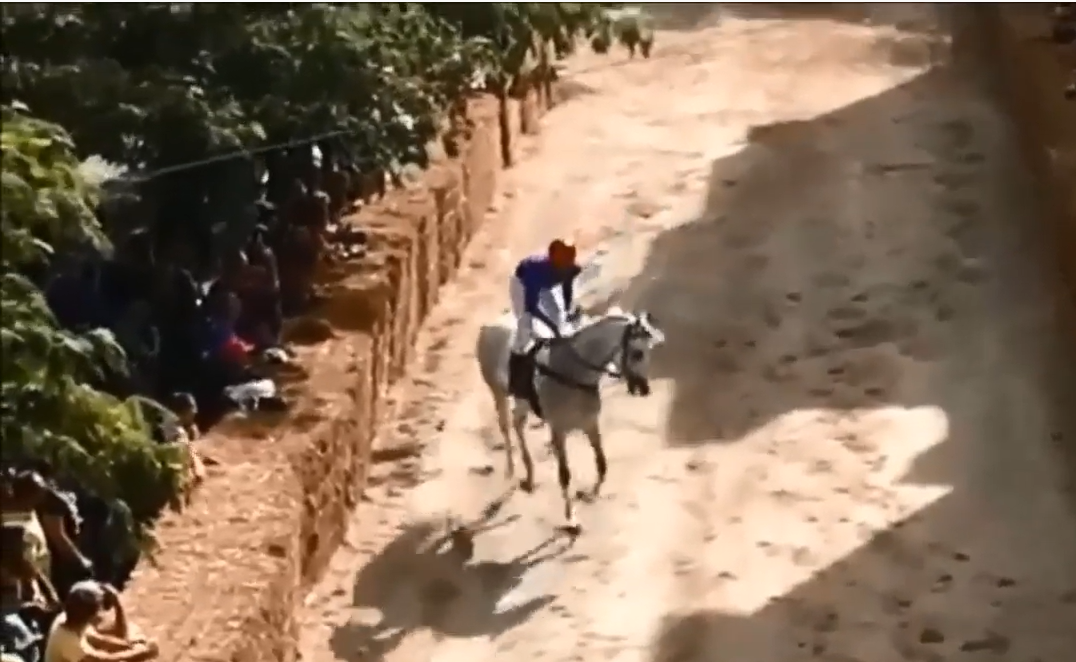 Canino, cresce l’attesa per il palio di San Clemente