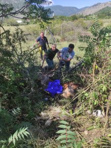 Rieti, i volontari liberano un cervo maschio dal filo spinato