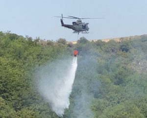 Campagna antincendi Boschivi, il contributo dell’Aves