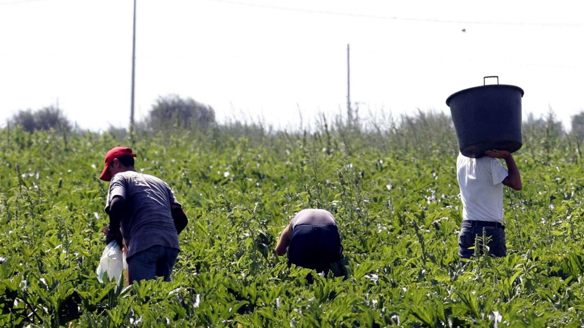 Faceva lavorare gli immigrati tredici ore al giorno, condannato a pagare 540000 euro