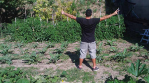 Viterbo – Ceis: 40 anni contro le dipendenze, al via i festeggiamenti