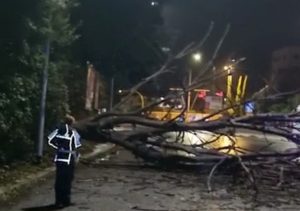 Roma- Albero su taxi in corsa, Giannini (Lega): “Poteva essere una tragedia, monitorare potature”