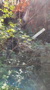 Valle Faul invasa da siringhe e rifiuti: in azione i volontari del Cinghiale Bianco