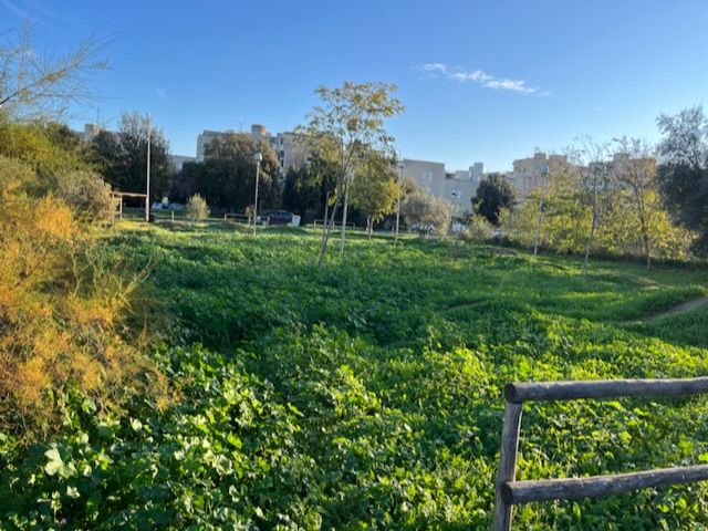 Pump Truck, un giardino ludico-sportivo diventato un campo di cicoria