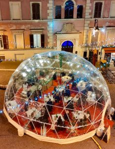 “Buttiamoci a Pesce”, attesa per lo chef stellato Daniele Lippi