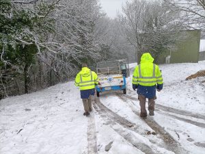 Tolfa e Allumiere coperte di neve, ma la viabilità è ok