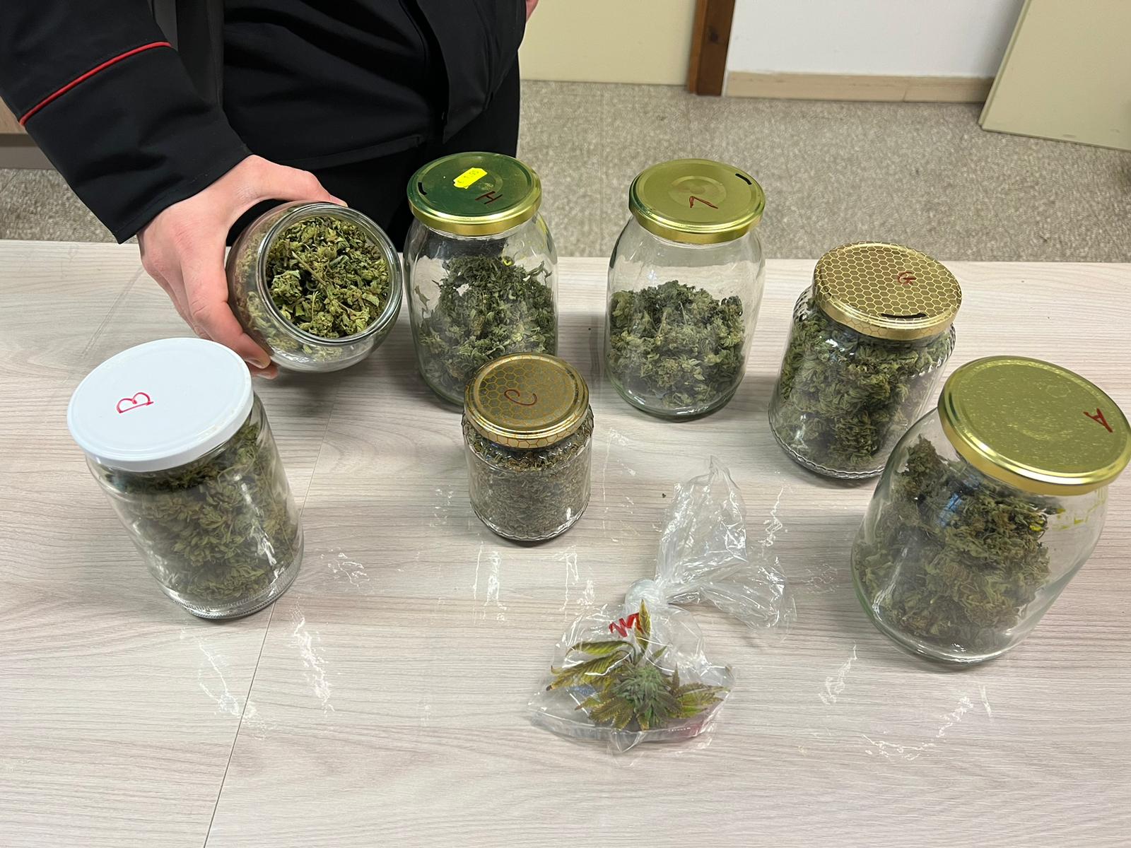 Spaccio di droga, arrestato 46enne di Bomarzo