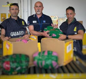 Sequestrati all’aeroporto di Ciampino 12 chili di khat