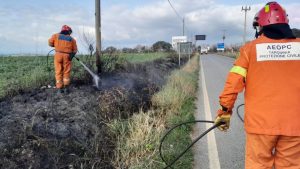 Incendio a Riva dei Tarquini, intervento dei volontari Aeopc e Polizia di Stato