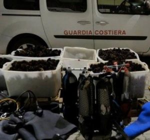 Santa Marinella, tentano di portare via 13mila ricci di mare: bloccati e multati dalla Capitaneria di Porto