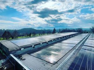 Colfelice – Energia, Saf inaugura parco fotovoltaico. Nasce polo economia circolare