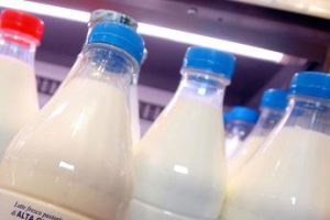 Alimenti, da Enea kit per rintracciare sostanze tossiche nel latte