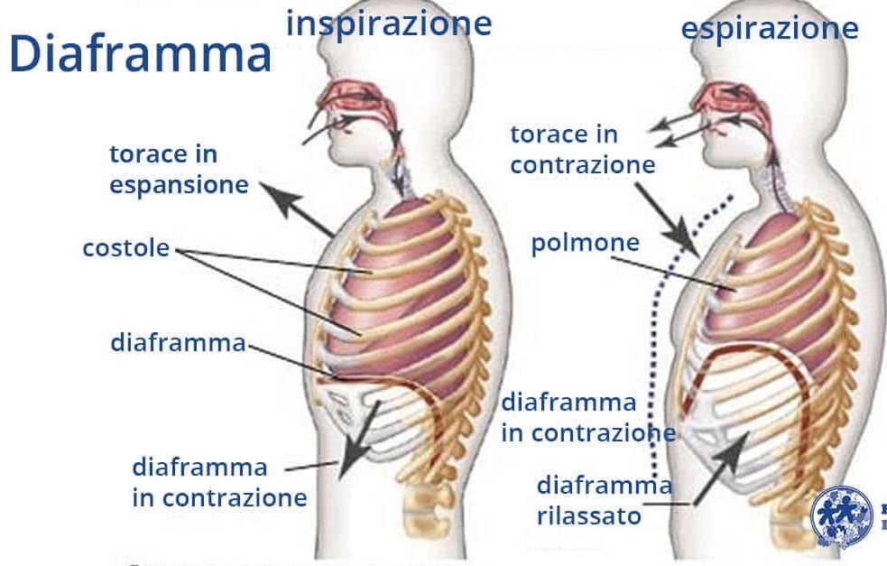Le saggezze della Psiche nella forma di nevrosi – quinta ed ultima parte
