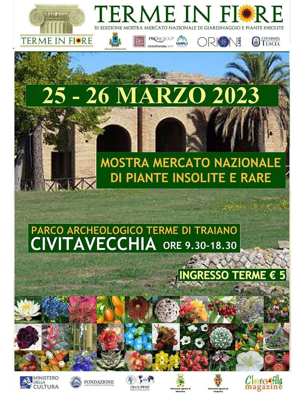 Civitavecchia torna a essere la capitale del florovivaismo con “Terme in fiore”: appuntamento nel week-end