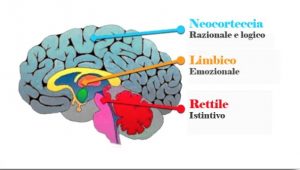 Le saggezze della Psiche – L’ansia – seconda parte