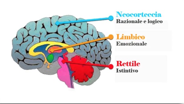 Le saggezze della Psiche – L’ansia – seconda parte