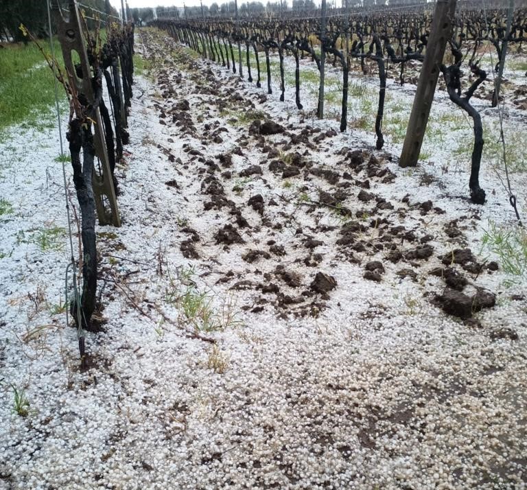 Maltempo distrugge frutta e verdura in tutto il Lazio, Coldiretti valuta stato di calamità