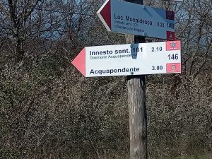 Acquapendente – “Situazione insostenibile nella Riserva di Monte Rufeno”, la denuncia dei consiglieri Brenci e Sarti