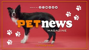 PetNews Magazine – 23/5/2023