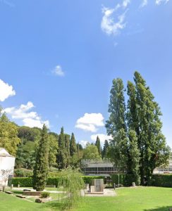 Capranica, abbattuti pioppi secolari per far spazio al Centro Commerciale. In Comune nessuno sa nulla