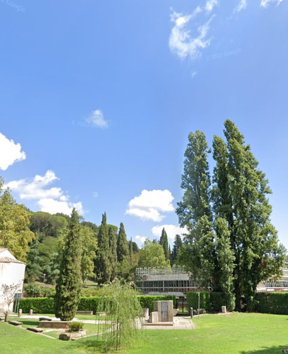 Capranica, abbattuti pioppi secolari per far spazio al Centro Commerciale. In Comune nessuno sa nulla