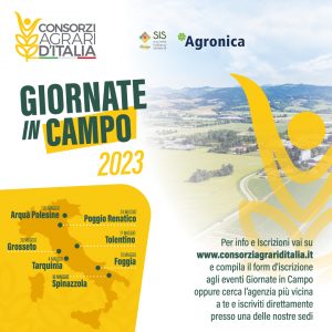 “Giornate in Campo”, parte da Tarquinia il progetto sperimentale per aumentare la produzione di grano duro