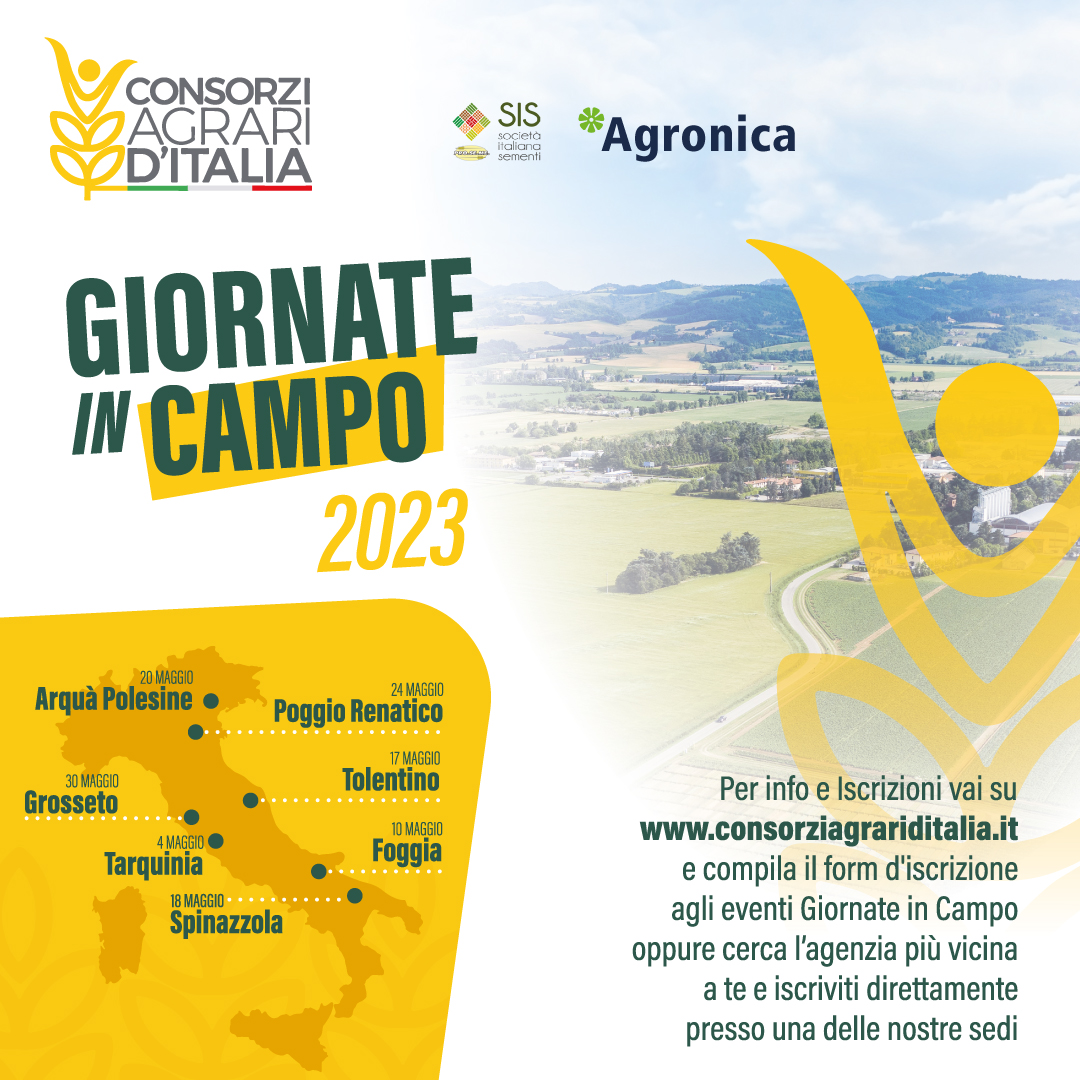 “Giornate in Campo”, parte da Tarquinia il progetto sperimentale per aumentare la produzione di grano duro
