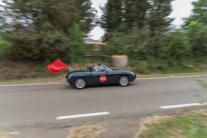 Cronoscalata di Montefiascone, record di iscritti e 120 alberi messi a dimora