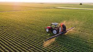 La regione sblocca 20 milioni di euro a favore delle aziende agricole del territorio