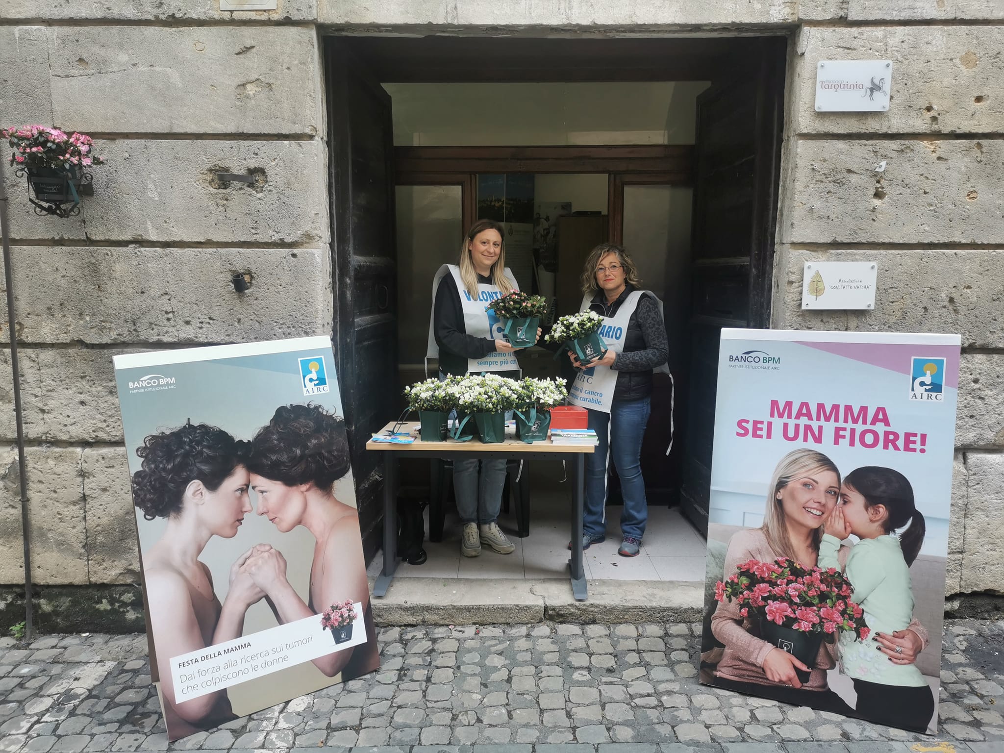 Raccolti dalla Pro loco Tarquinia 1500 euro per l’azalea della ricerca dell’Airc