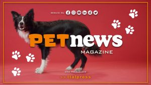 PetNews Magazine – 16/5/2023