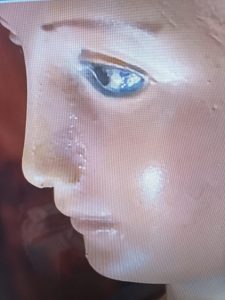 Trevignano Romano – La madonnina ha pianto a casa di Gisella Cardia davanti ai giornalisti