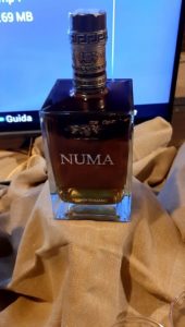 Tarquinia – Il Brandy Numa campione del mondo