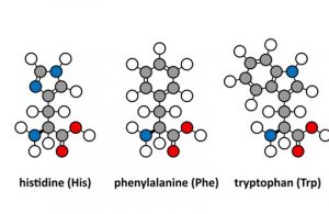 CONOSCERELAPKU.IT, ONLINE CAMPAGNA CHE RACCOGLIE LE STORIE DEI PAZIENTI