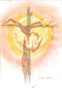 Tarquinia, Silvestri autore del disegno della STAS per l’infiorata del Corpus Domini