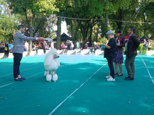 Al via la 53esima Esposizione Internazionale canina a Viterbo