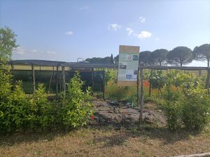 Al Bagnaccio si chiude il progetto “Green Emotion”
