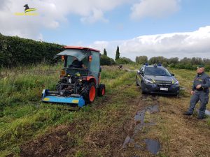 Viterbo – La finanza distrugge 260 chili di droga e campi di canapa